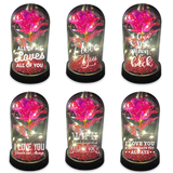 Glass Dome Rose Keepsake- 6 Pieces Per Retail Ready Display 24544