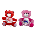 Valentines Day Glass Plush and Gift Assortment Floor Display - 56 Pieces Per Retail Ready Display Kit 88616 NOVELTY INC