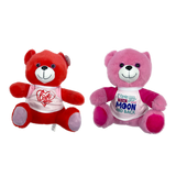 Valentines Day Glass Plush and Gift Assortment Floor Display - 56 Pieces Per Retail Ready Display Kit 88616 NOVELTY INC